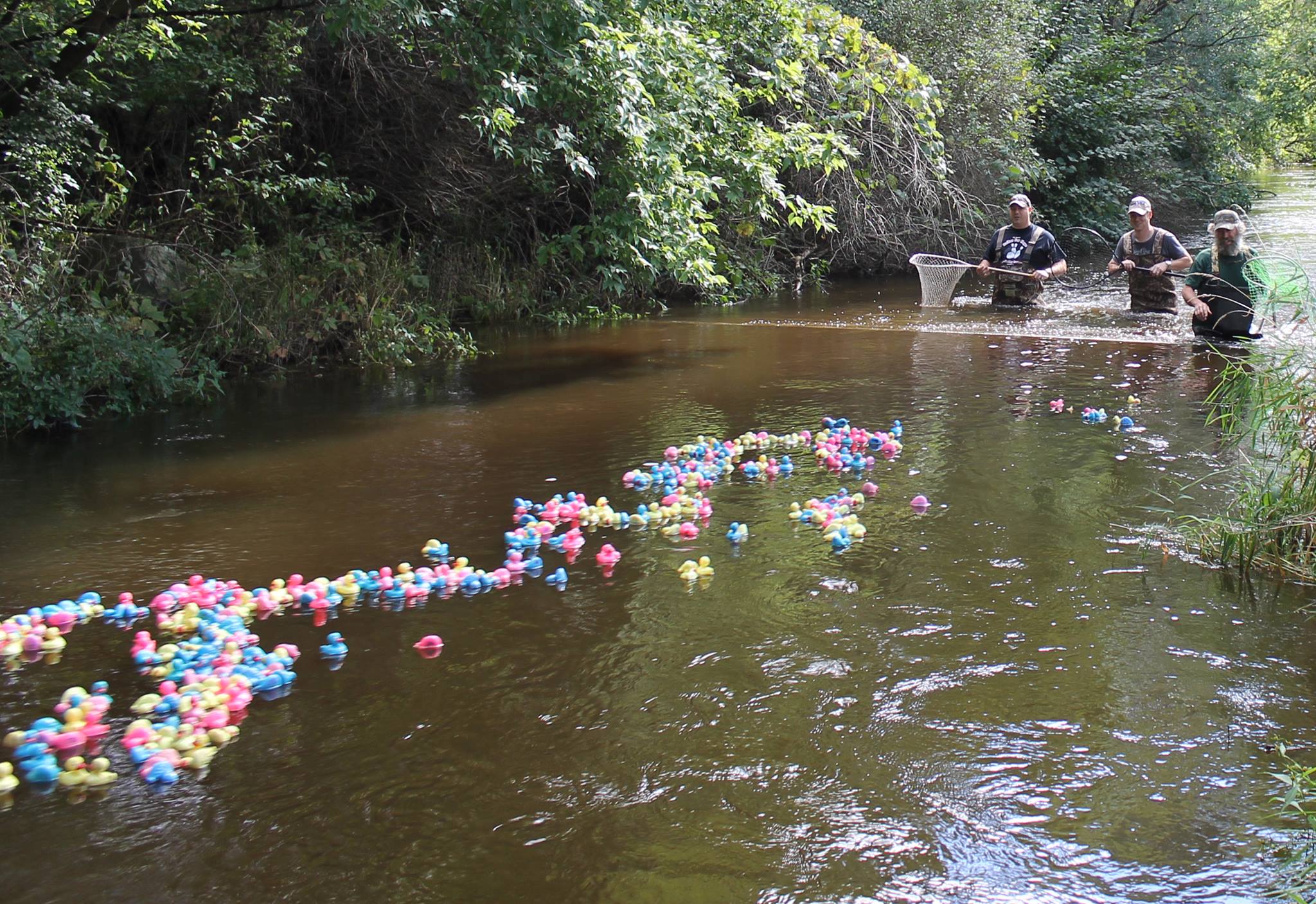 Kiwanis Club Duck Race