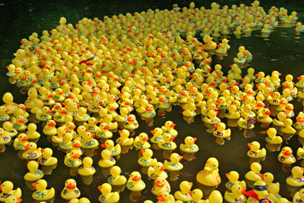 Kiwanis Club Duck Race