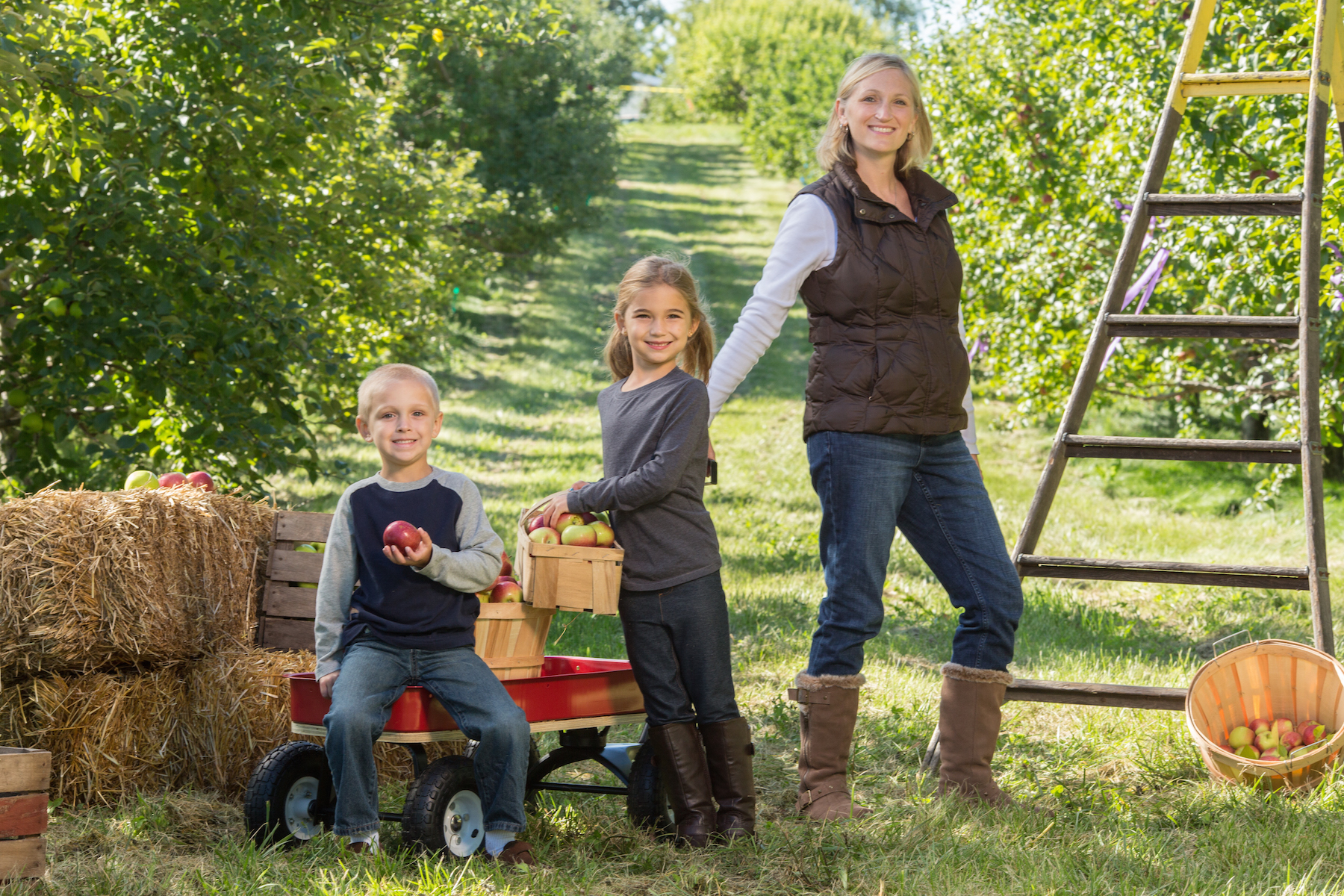 Elegant Farmer's Autumn Harvest Festival