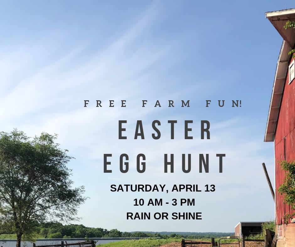 Egg Hunt at Grassway Organics