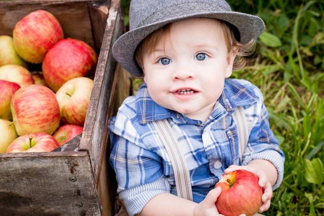 Elegant Farmer's Harvest Fest