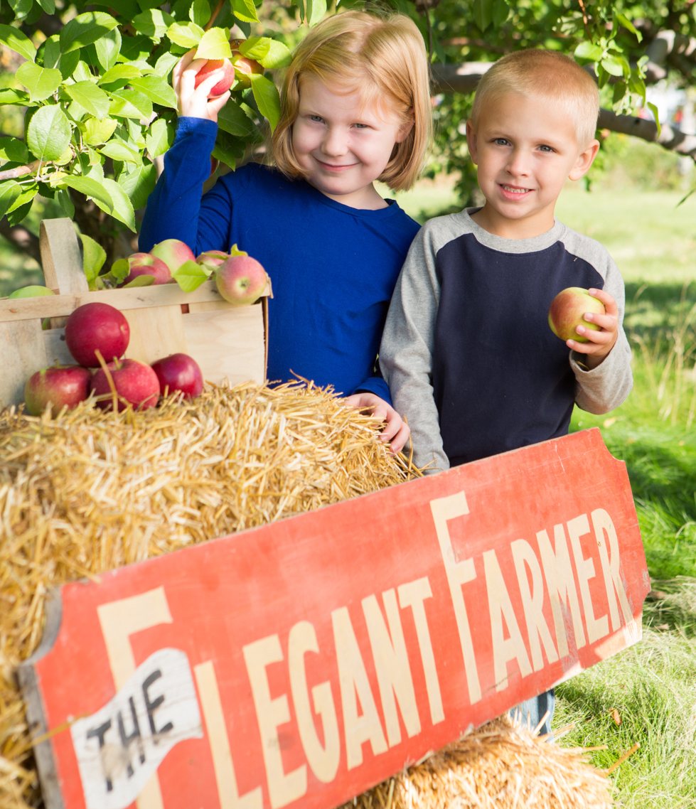 Elegant Farmer Autumn Harvest Festival