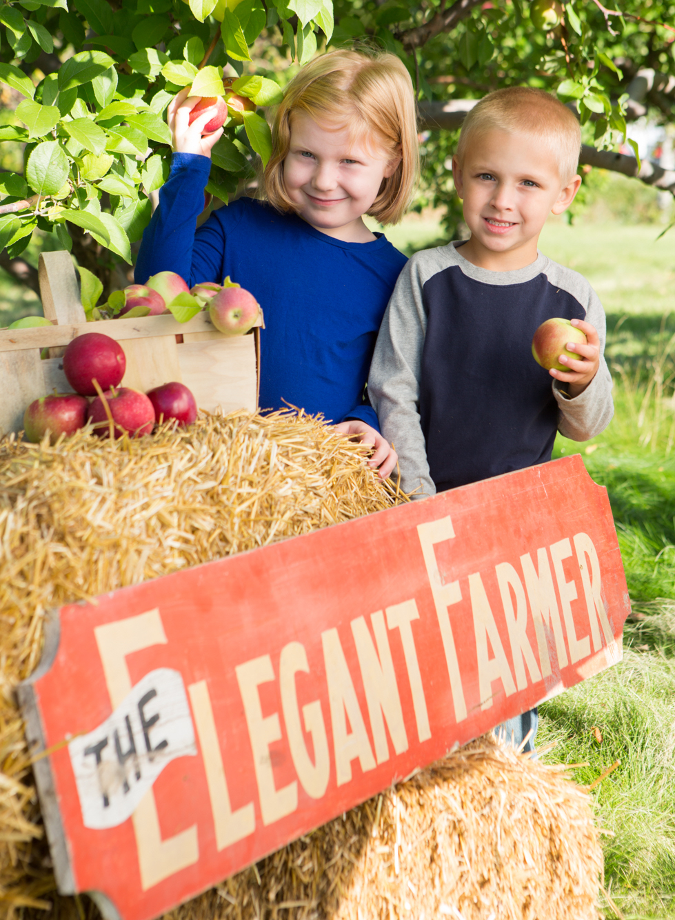 Elegant Farmer Autumn Harvest Fest