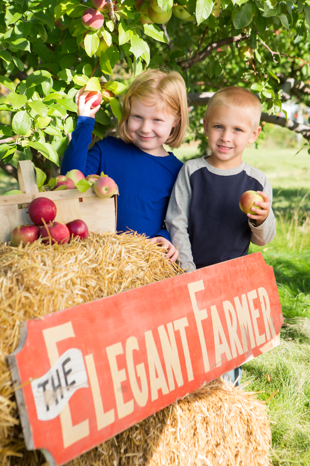 Elegant Farmer Harvest Fest