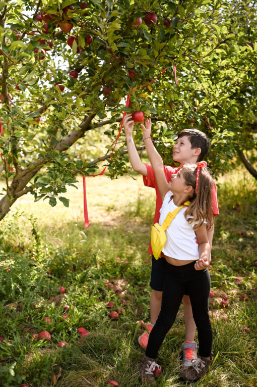 Elegant Farmer Harvest Fest