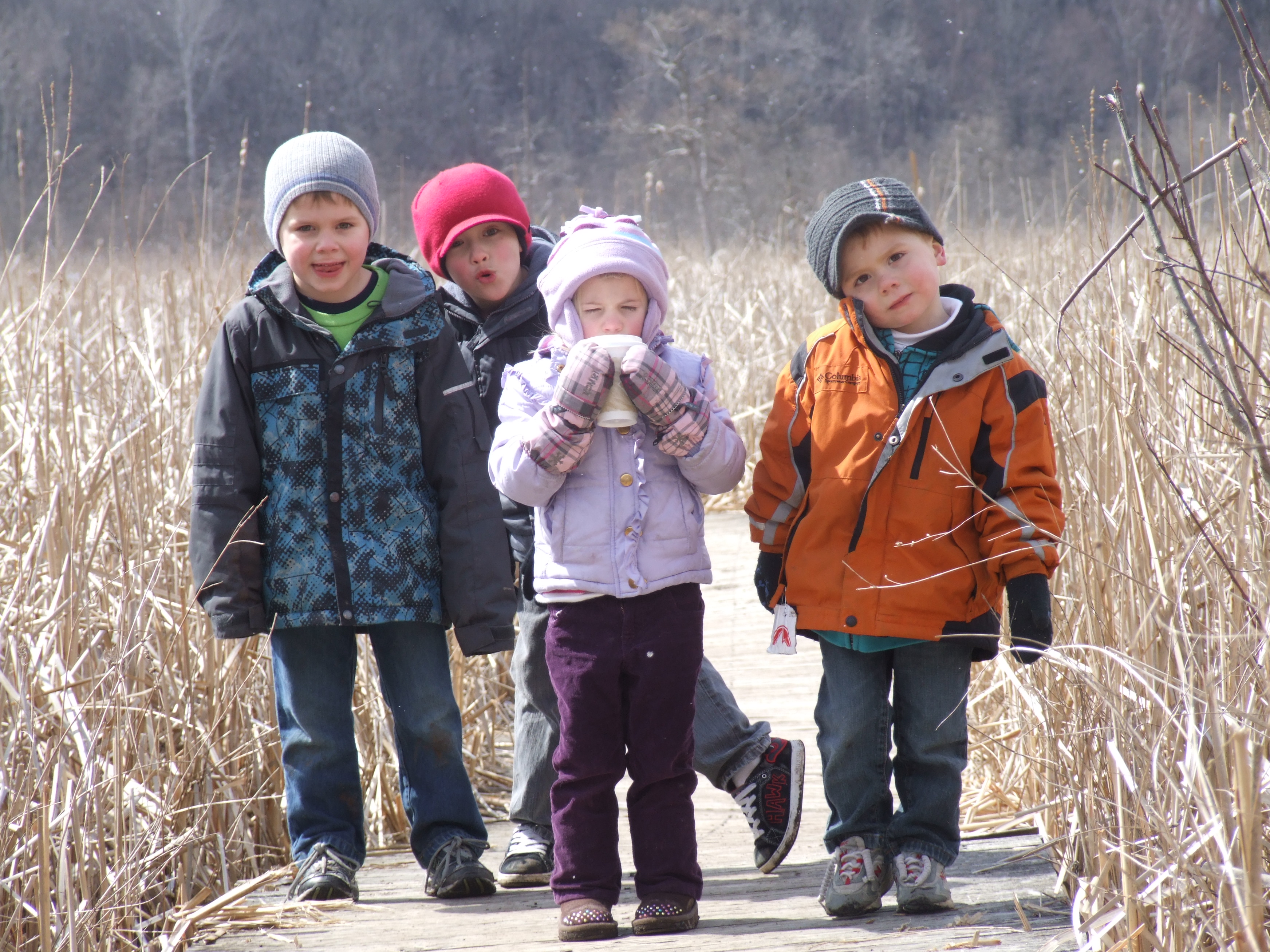 Maple Syrup Family Fun Day