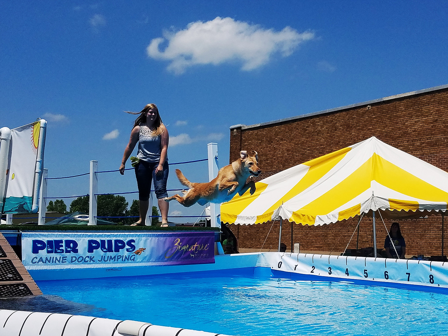 Dog Days of Summer at Martin's Hardware