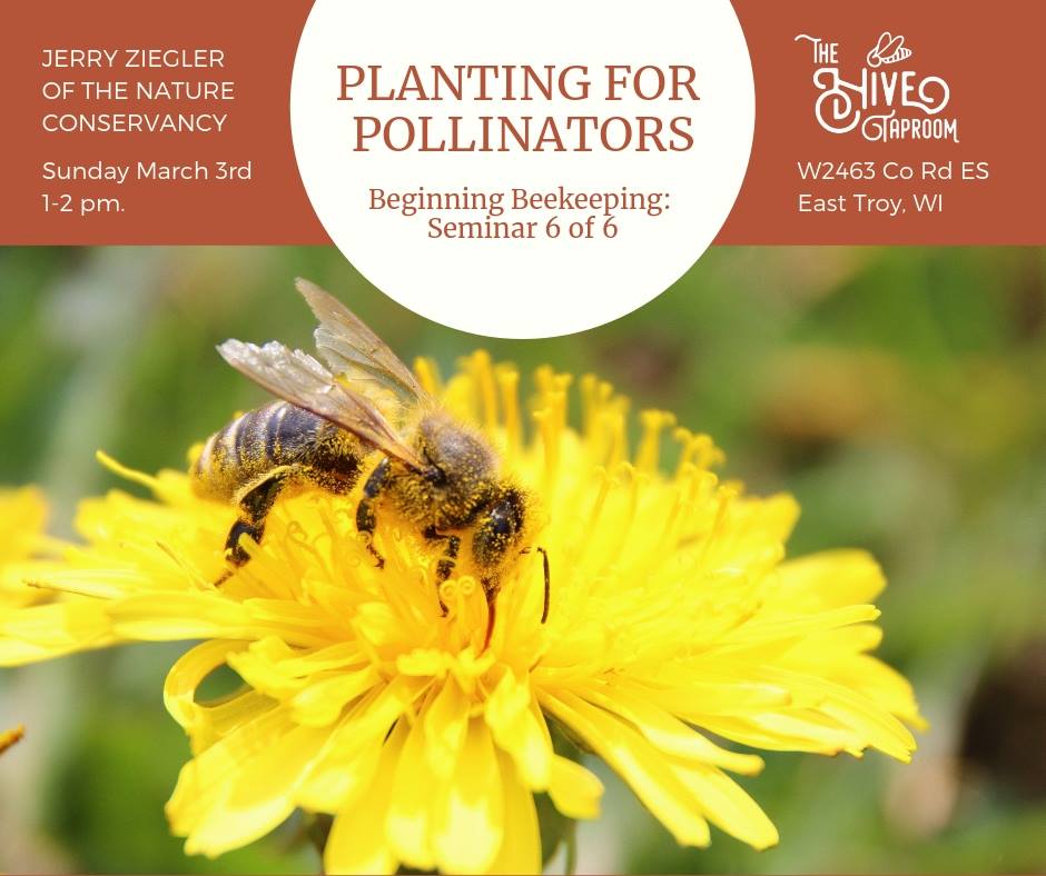 Planting for Pollinators