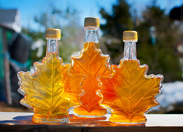Maple Syrup Day