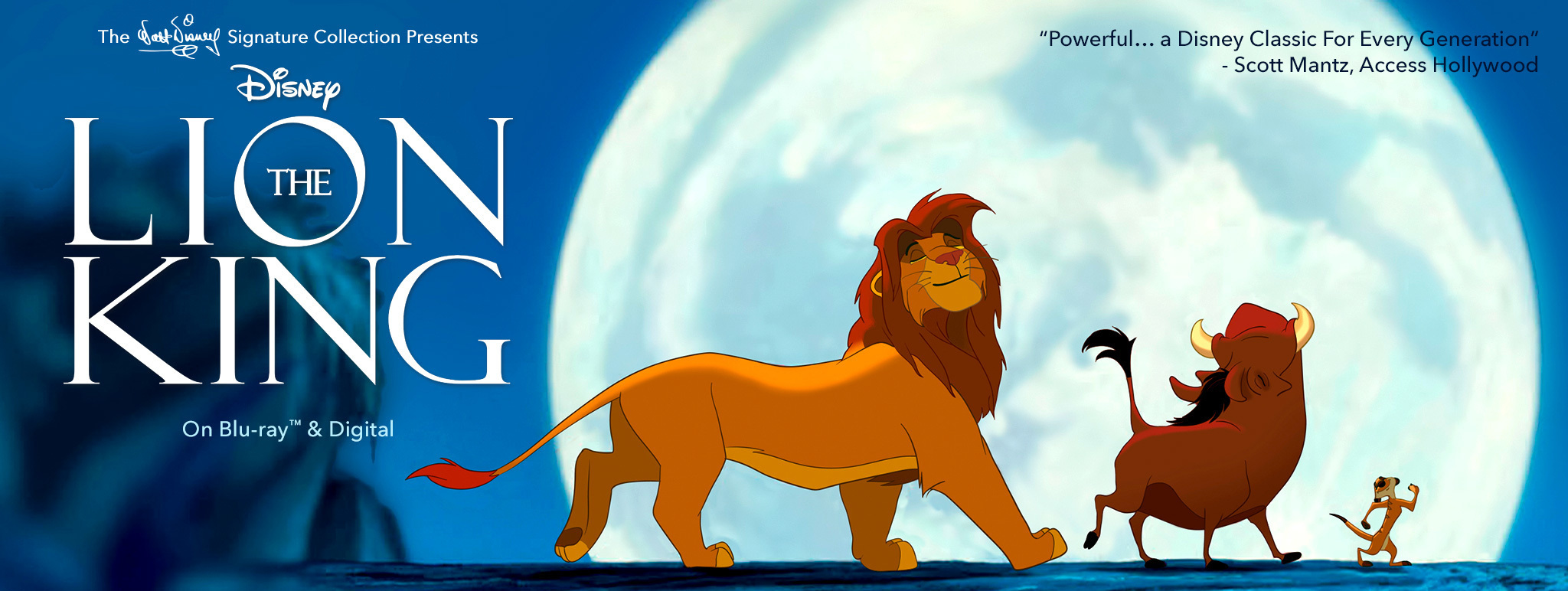 Movie in the Park - Lion King