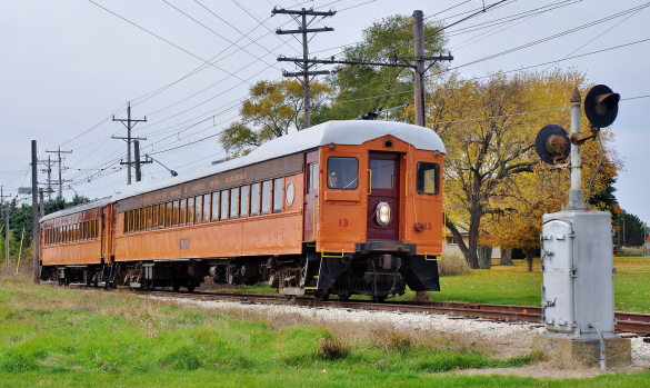 Bunny Train