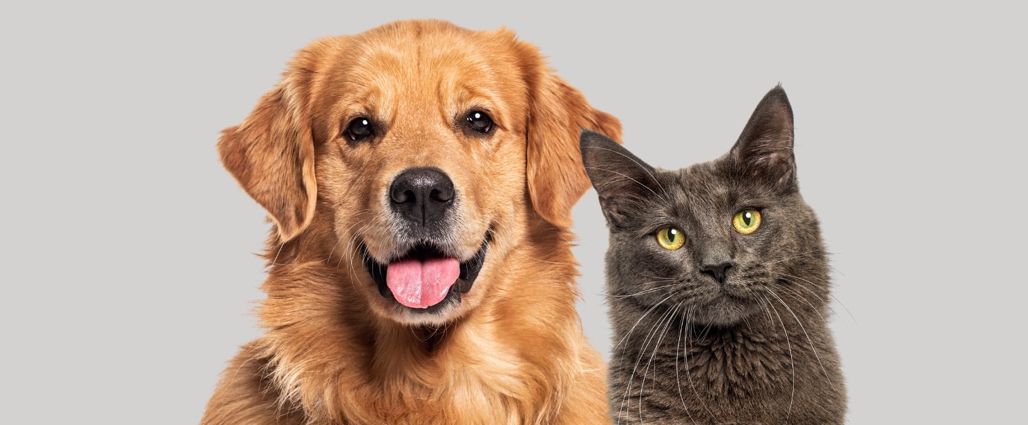 O'Neill Family Veterinary Clinic cover photo